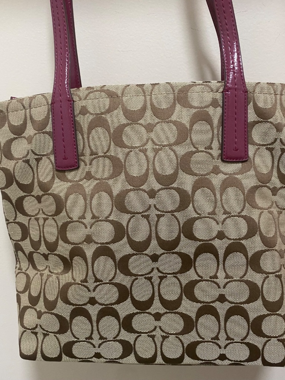 Coach Signature Stripe Python Print Color Raspberry F25706 Bag - Picture 8 of 11